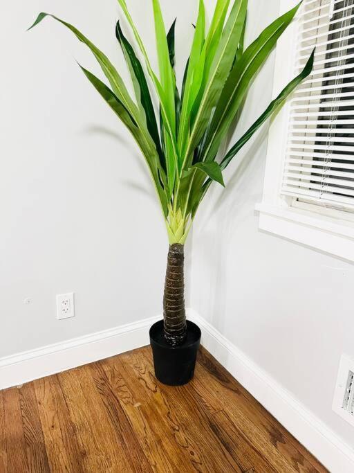Apartment Cheerful 4-bedroom With Free Parking Elmont
